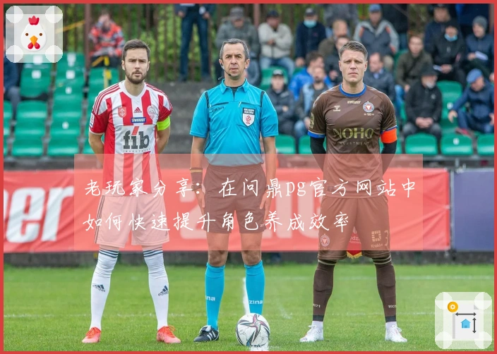 老玩家分享：在问鼎pg官方网站中如何快速提升角色养成效率